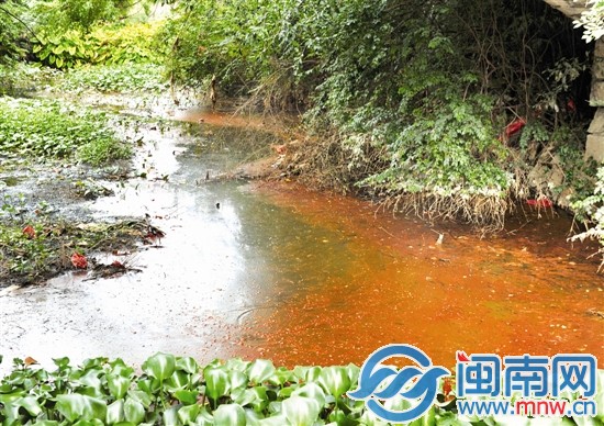 玉田渠水面，水浮蓮叢生，散發(fā)陣陣惡臭