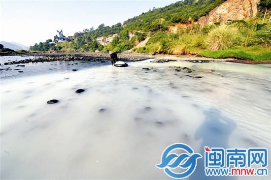 污水直排后，溪水呈乳白色