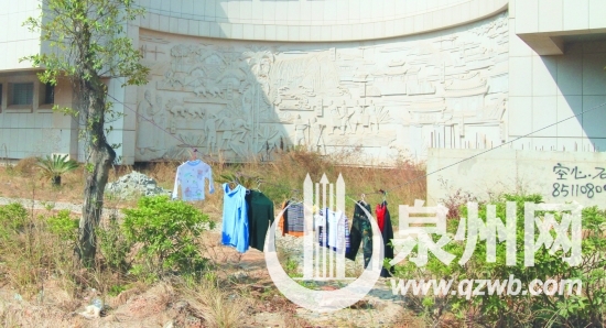 鄭成功文化中心邊，綠化樹上晾曬衣服
