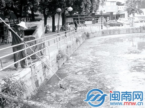 2009年，百源清池池水黑臭
