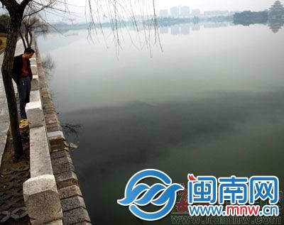 2011年，西湖遭油污污染