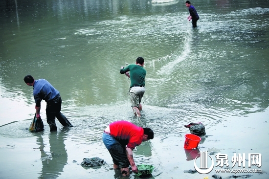 “絕戶網(wǎng)”捕魚，破壞漁業(yè)生態(tài)