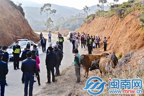 在兩村交界處，民警宣讀鑒定結(jié)果，村民圍觀