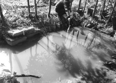 記者用一個竹竿測量水坑深度