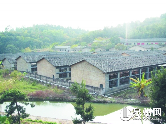 標(biāo)準(zhǔn)化的豬舍經(jīng)過(guò)挑高設(shè)計(jì)