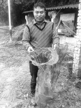 魏謙巡展示摘馬蜂窩的鐵絲網(wǎng)