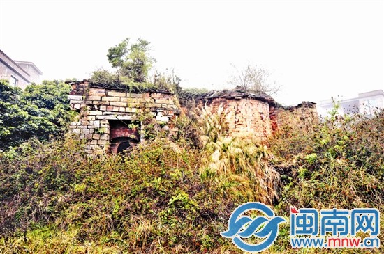 槐山村一處古窯，已經(jīng)被草叢包圍