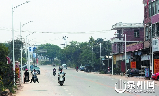由村支書洪建南出資裝的路燈整齊地排在村道兩邊