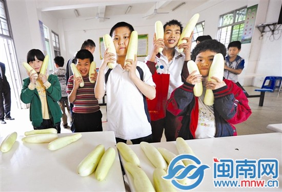 孩子們拿到黃瓜很開心