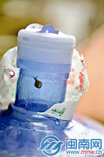 蝸牛貼在未被水淹沒的桶壁上