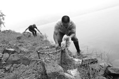 昨日，后橋水庫工作人員對釣魚者丟棄在岸邊的垃圾進