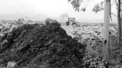 豐州開展溝渠清理整治