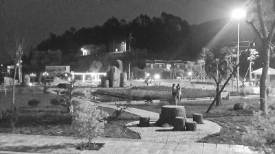 夜晚中的大眉村生態(tài)濕地公園。（大眉村村民蘇海霞供