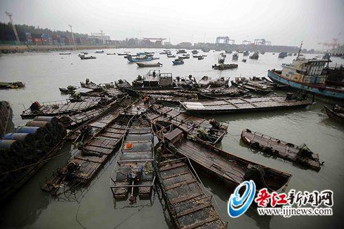 金井圍頭碼頭，漁民在加固船只