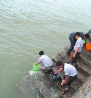 市農(nóng)業(yè)與海洋局在圍頭灣石井海域開(kāi)展鱸魚(yú)增殖放流活動(dòng)