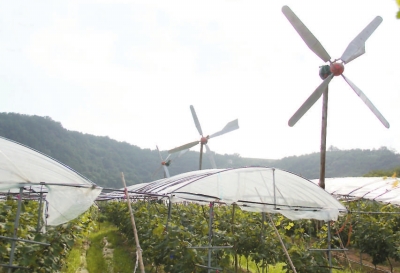 風(fēng)能抽水灌溉系統(tǒng)