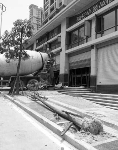 綠化樹(shù)倒半個(gè)月無(wú)人“扶”