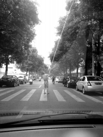 男子手持長(zhǎng)桿 馬路中摘芒果