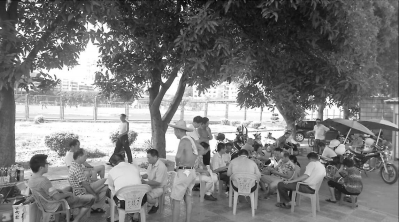 老人樹下嘮家常